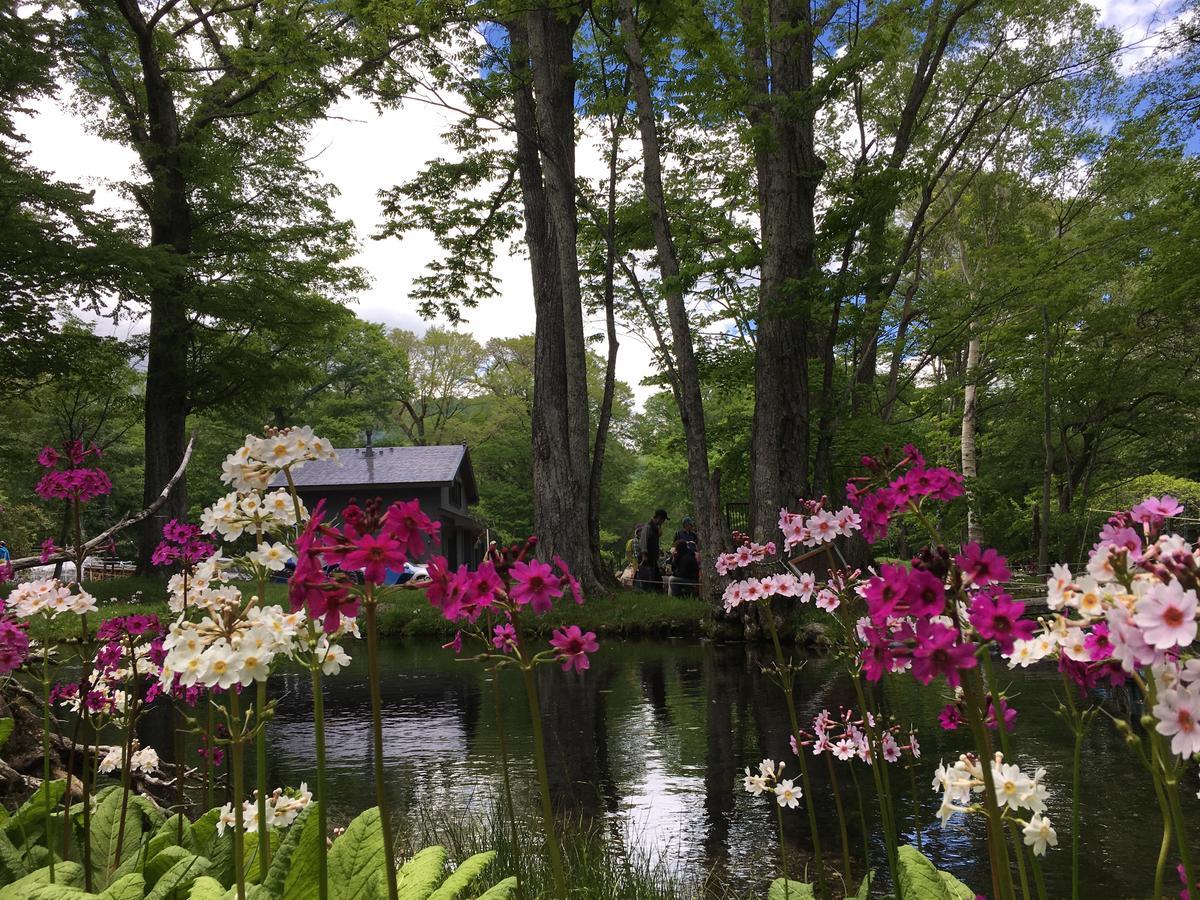 Little Forest Inn Нікко Екстер'єр фото